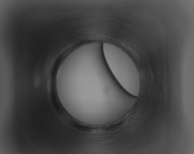 X0000100910591200806241053