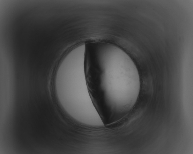 X0000100910592200806241053