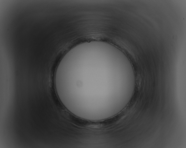 X0000100910595200806241052