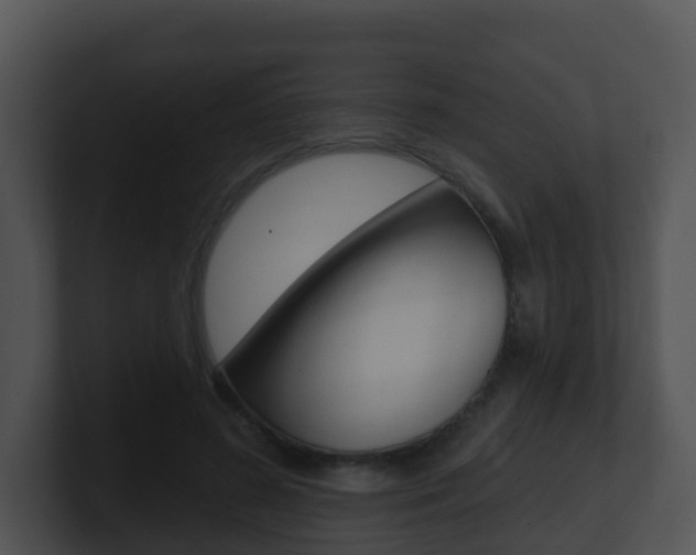X0000100910596200806241052