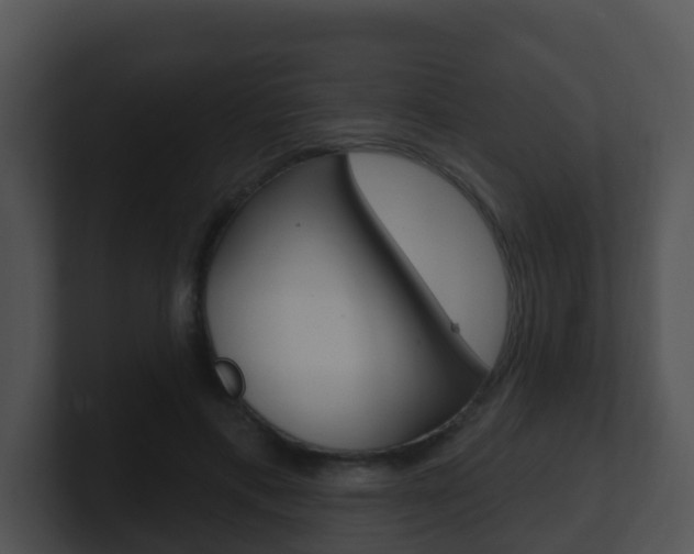 X0000100910597200806241052