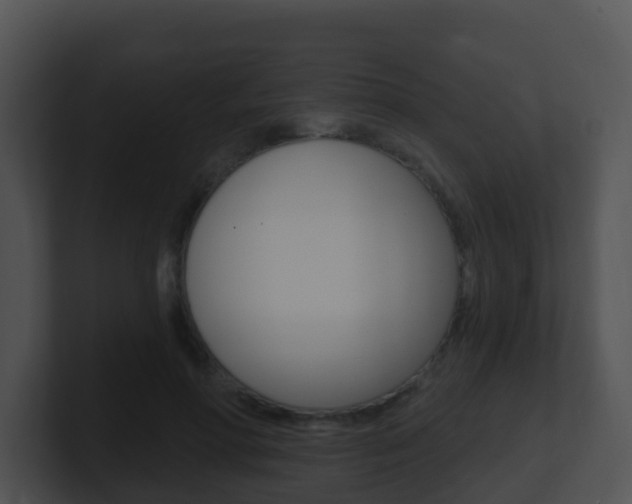 X0000100910598200806241052