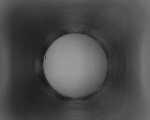 X0000100910599200806241052