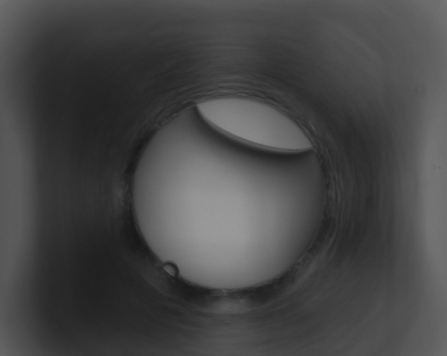 X0000100910601200806241052