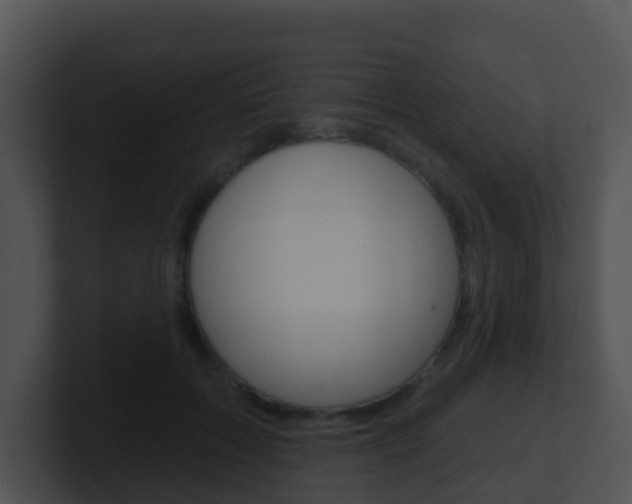 X0000100910603200806241052