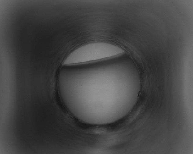 X0000100910604200806241052