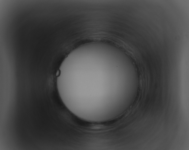 X0000100910605200806241052