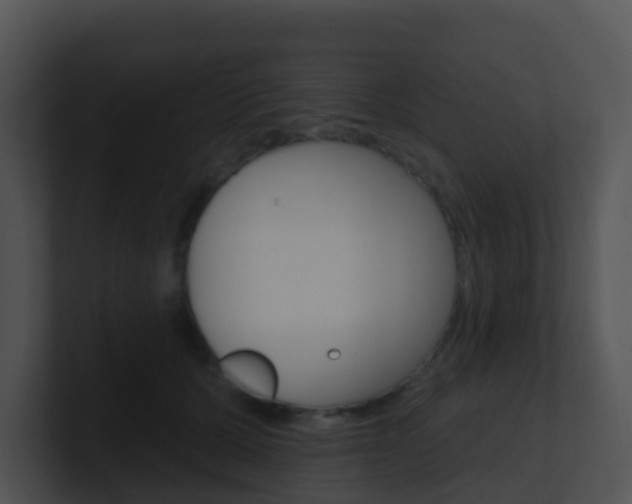 X0000100910607200806241052