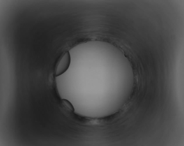 X0000100910611200806241052