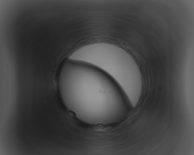 X0000100910613200806241052