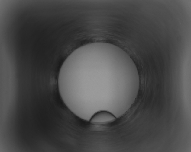 X0000100910614200806241052
