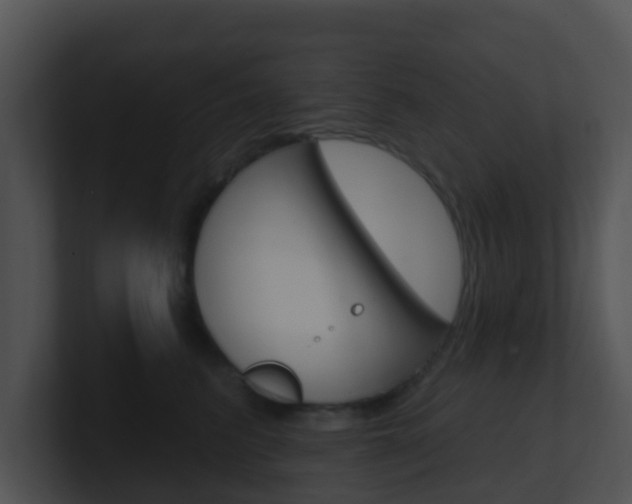 X0000100910615200806241052