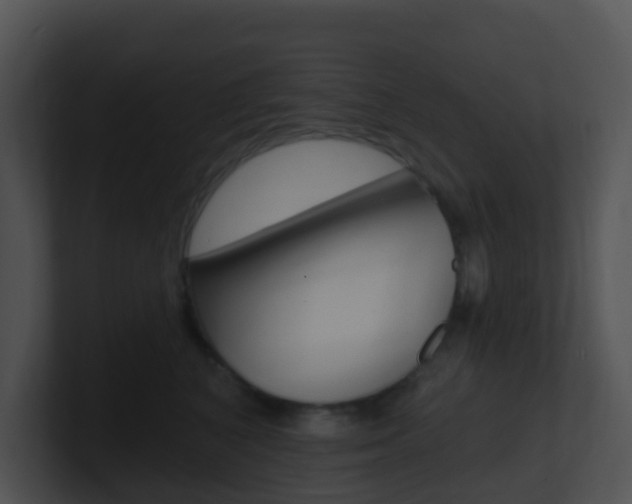 X0000100910616200806241052