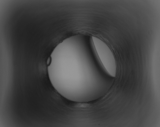X0000100910617200806241052