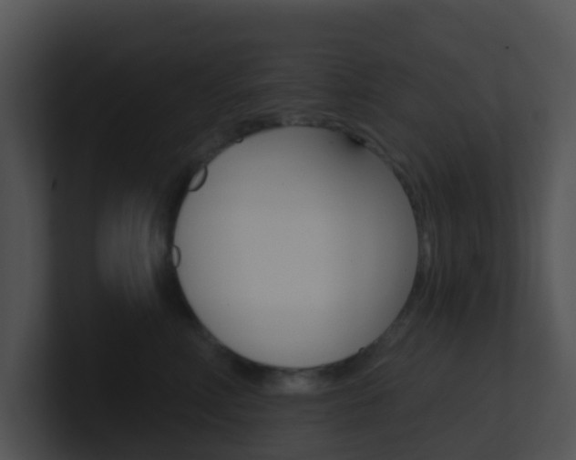 X0000100910618200806241052