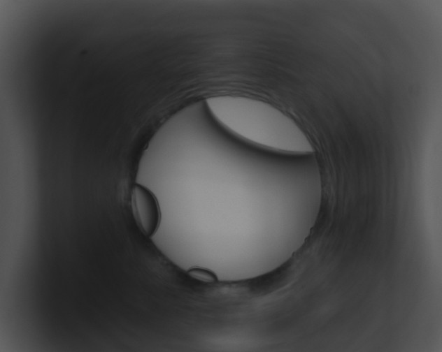 X0000100910619200806241052