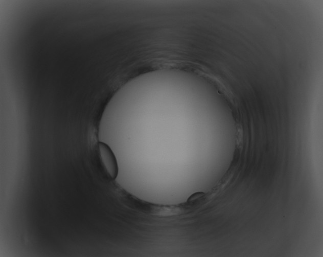 X0000100910621200806241052