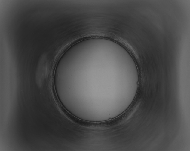 X0000100910625200806241051