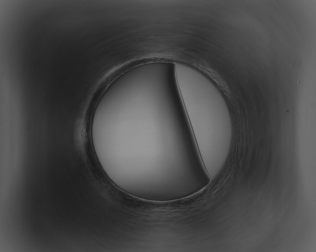 X0000100910628200806241051