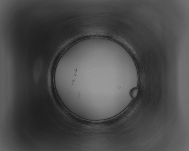 X0000100910629200806241051