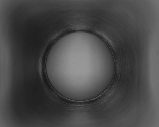 X0000100910631200806241052