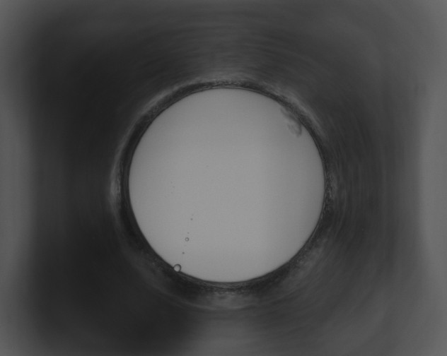 X0000100910632200806241052