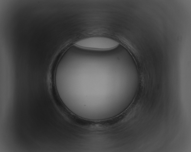 X0000100910634200806241052