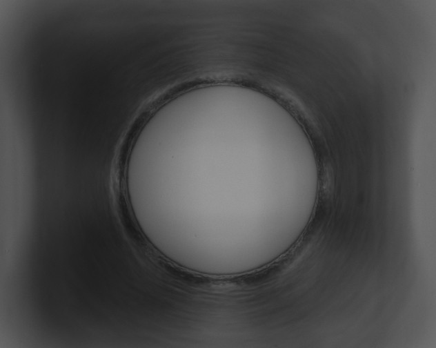 X0000100910636200806241052