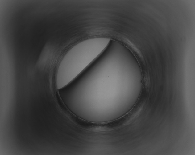 X0000100910637200806241052
