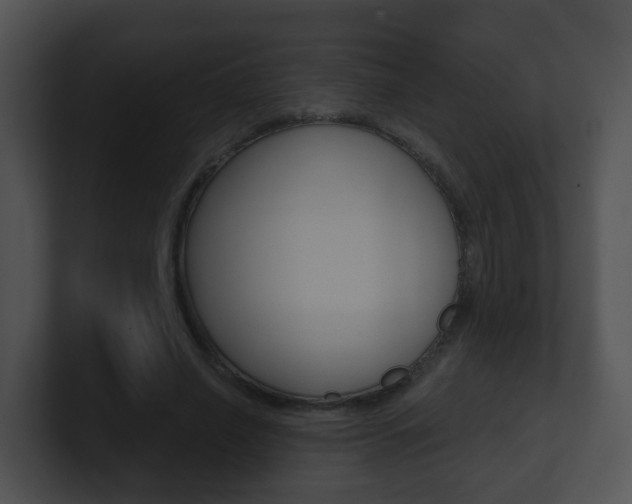 X0000100910638200806241052