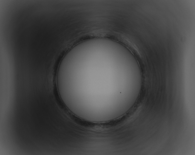 X0000100910641200806241052