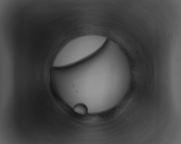 X0000100910642200806241052