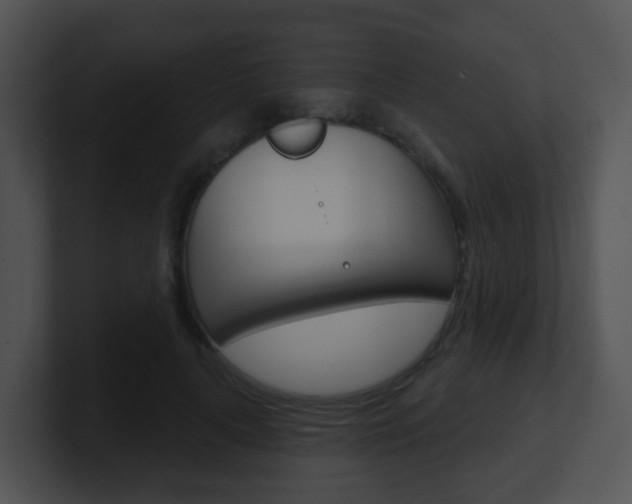 X0000100910643200806241052