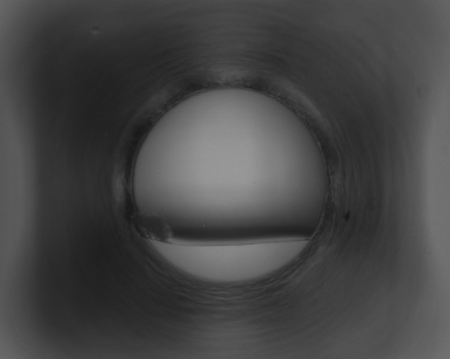 X0000100910644200806241052