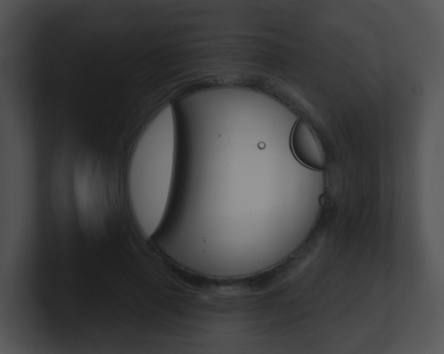 X0000100910645200806241052