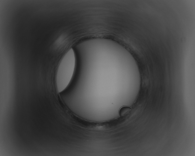 X0000100910647200806241052