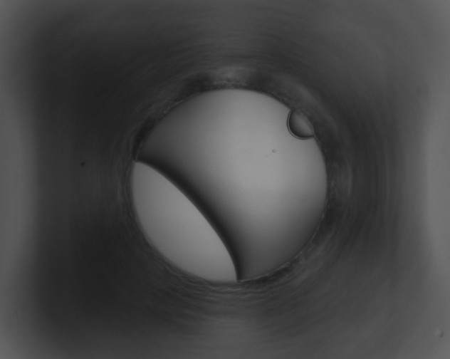 X0000100910649200806241052