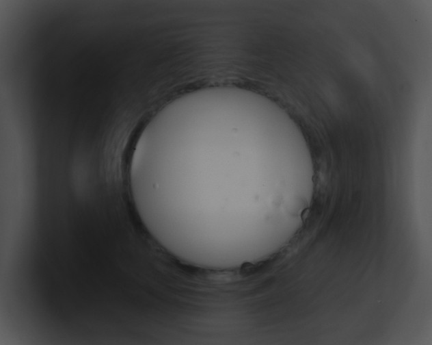X0000100910659200806241052