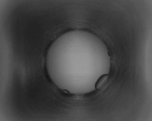 X0000100910660200806241052