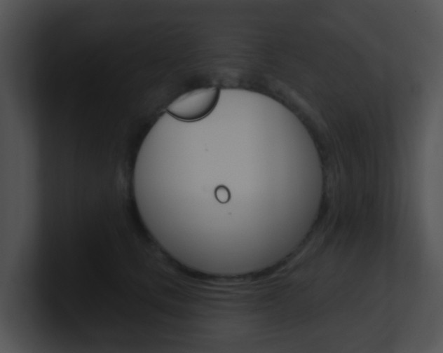 X0000100910661200806241052