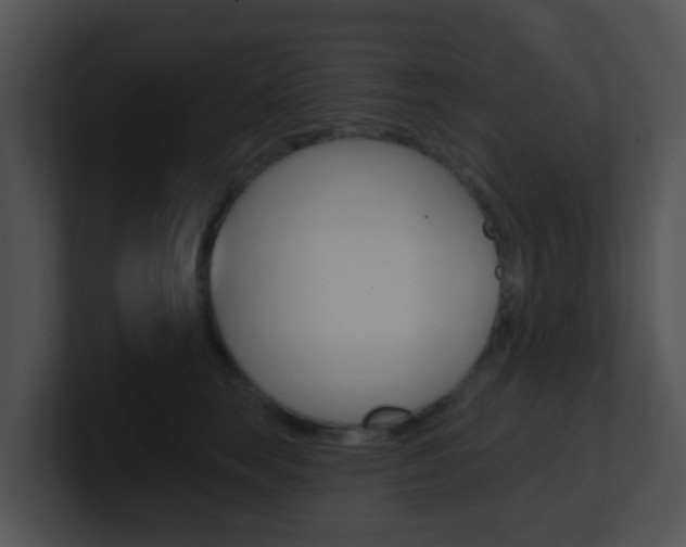 X0000100910663200806241052