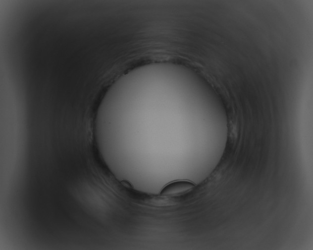 X0000100910666200806241052