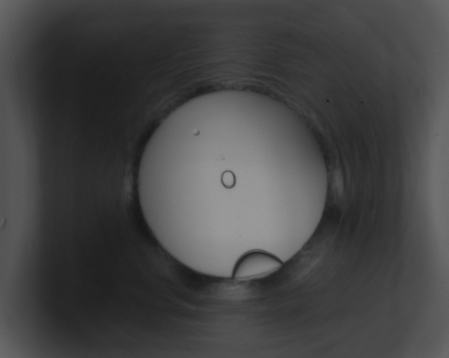 X0000100910668200806241052