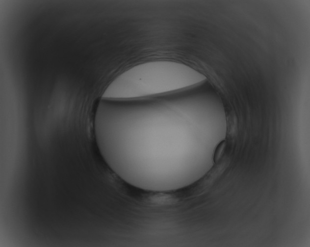 X0000100910669200806241052