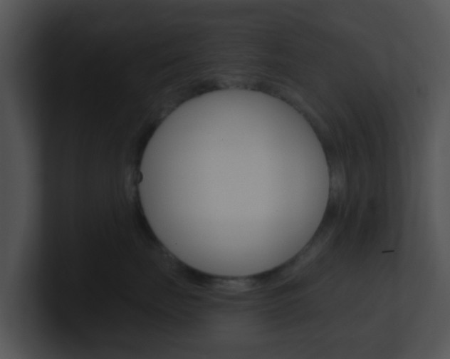 X0000100910671200806241052