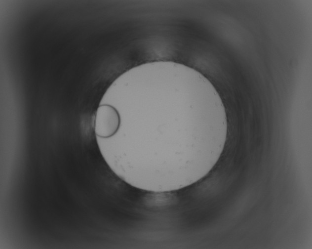 X0000100910672200806241052