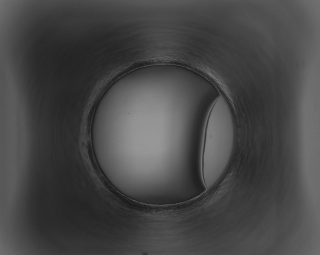 X0000100910673200806241051