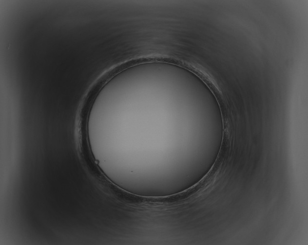 X0000100910676200806241051