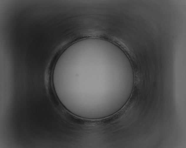 X0000100910679200806241051
