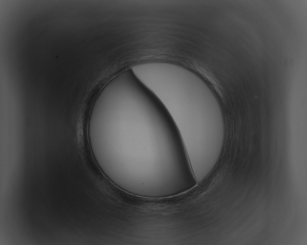 X0000100910681200806241051